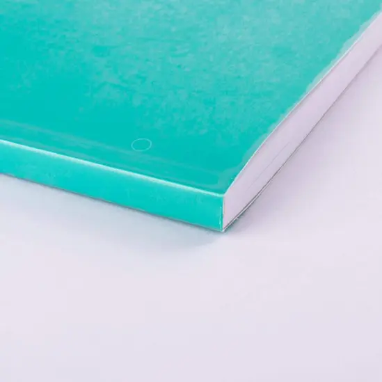 Фолио за подвързване  Apli 20 метра