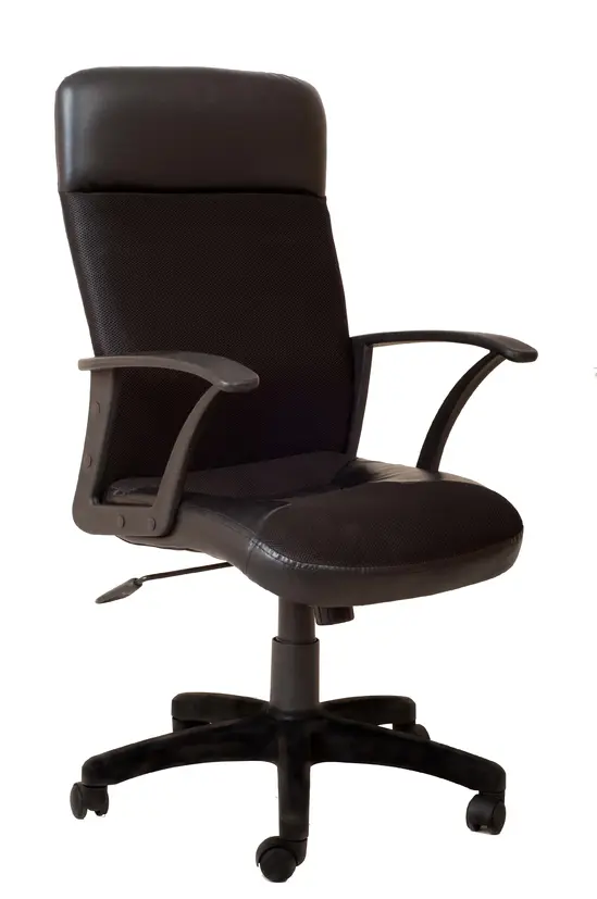 Директорски стол LARGO- сниман отпред