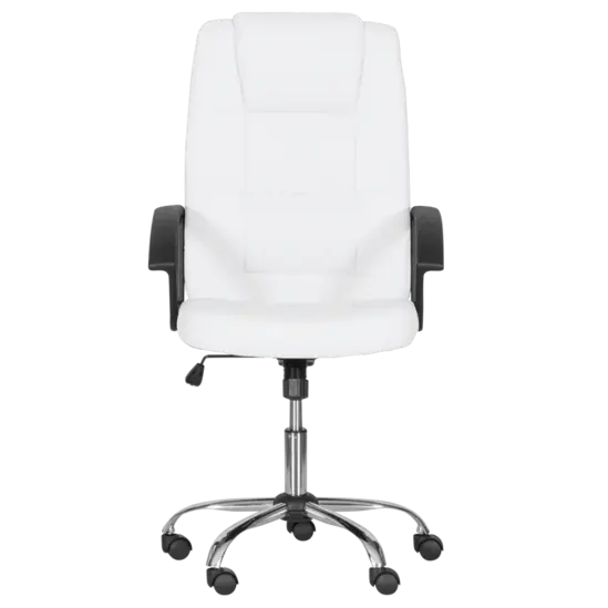 Директорски стол ГРЕГ-снимка отпред, ергономичен