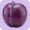Слива