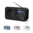 Радио Sharp Radios DR-P420(BK), PORTABLE DIGITAL RADIO, Bluetooth 5.0, 20 DAB+DABFM, Auto timedate, LCD Display, Dual alarm,Micro USB x1 (power supply),3.5mm Headphone jack  line-out, Black