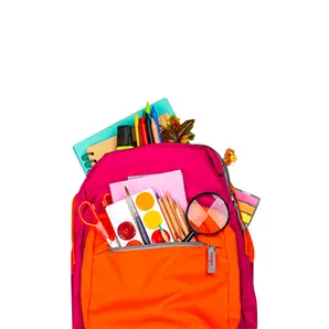 Всичко за ученика