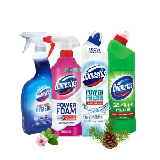 Комплект Хигиена Domestos