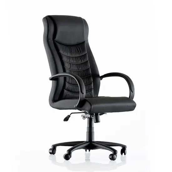 Президентски стол CASA - снимка отпред