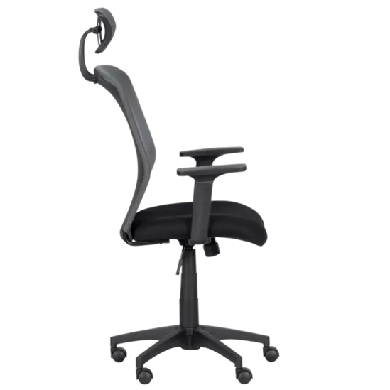 Директорски стол ДЕНИЦА- сиво с черно