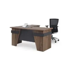 Мениджърски кабинет EFES