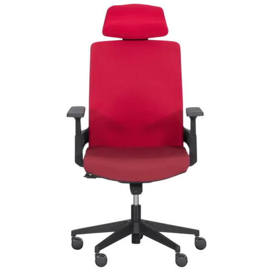 Директорски стол АЛИНА- снимка отпред, ергономичен офис стол