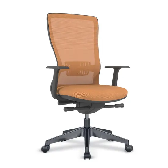 Работен стол КЪРКЛАРЕЛИ ARY37