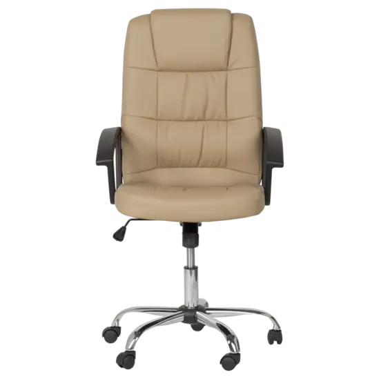 Директорски стол ГРЕГ-снимка отпред, фиксирани подлакътници