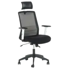 Директорски стол АНУШ-сниман отпред, черен цвят, регулируем