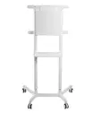 Стойка Neomounts Mobile Flat Screen Floor Stand (height: 160 cm)
