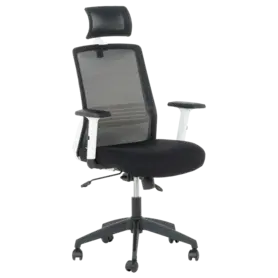 Директорски стол АНУШ-сниман отпред, черен цвят, регулируем