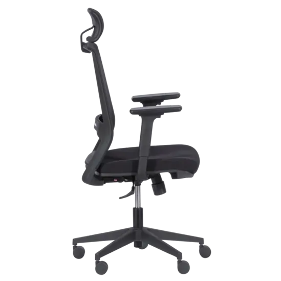 Директорски стол ВАЛТЕР- черен, с черна полипропиленова база