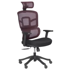 Директорски стол ВЕЛИКО-снимка отпред, в два цвята