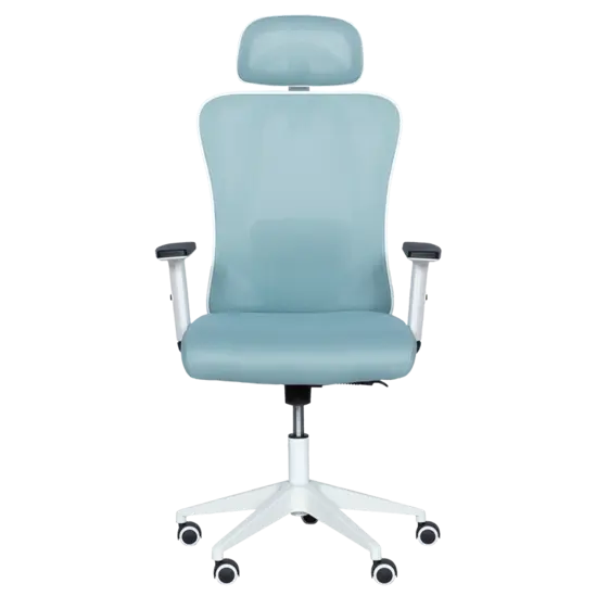 Директорски стол МЕЛИСА-сниман отпред,synchro deluxe