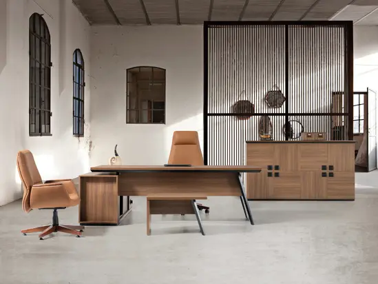 Директорски кабинет MUSTANG