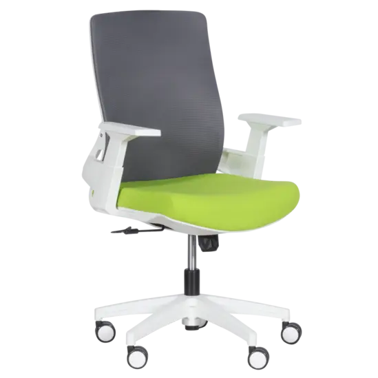 Работен стол Миглена 47- зелен със сиво