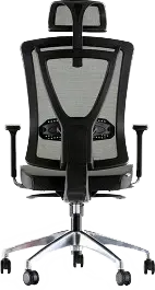 Комплект регулируемо бюро и стол ОДЕСОС-снимка отзад, лумбална опора