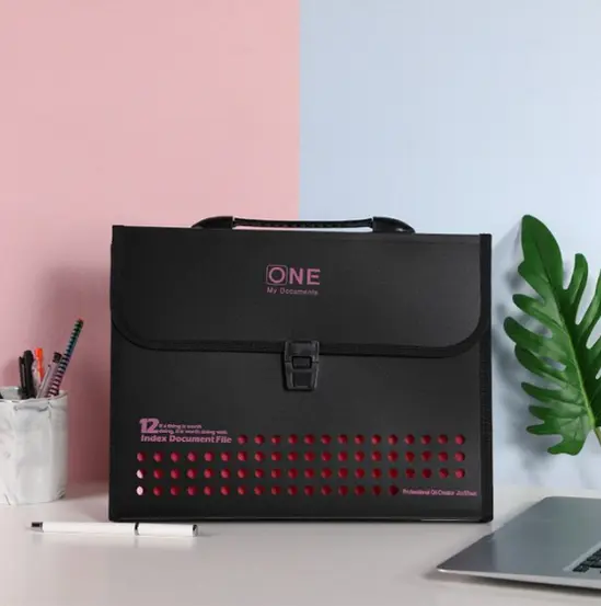 Куфарче за документи OIP PP 297x365 мм