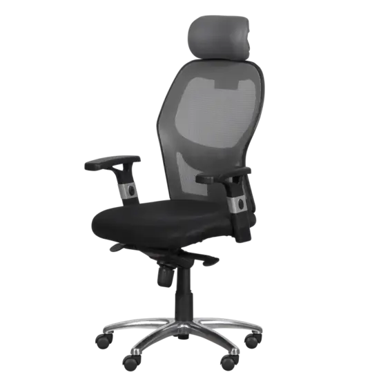 Директорски стол ВАЛЕРИ- ергономичен, два цвята