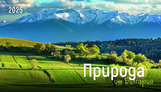 Настолен календар пирамидка Природа 