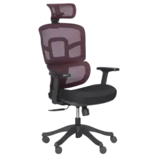 Директорски стол ВЕЛИКО-снимка отпред, в два цвята