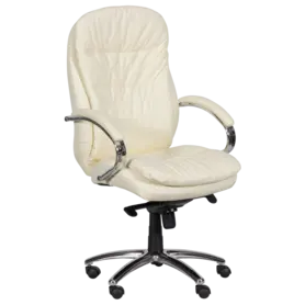 Президентски стол СТРУМЯНИ-снимка отпред