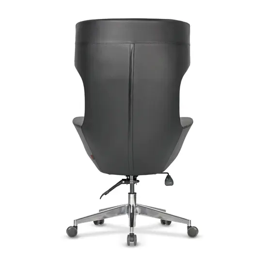 ШИНДРА PRT 01-сниман отзад