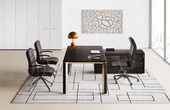 Директорски кабинет IULIO