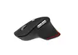 Мишка Acer Easy Fit Wireless Mouse,RF 2.4 GHz dongle, Bluetooth 5.0, Wired, 6 buttons, DPI 4000, 122 g, Black with RGB strip