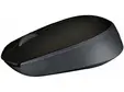 Мишка Logitech Wireless Mouse M171 Black