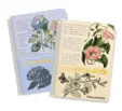Тетрадка спирала А5 Botanical Book 80 л