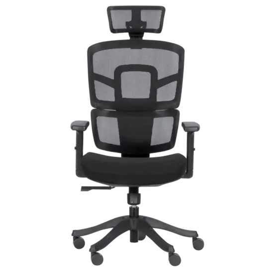 Директорски стол ВЕЛИКО- снимка отпред, мепш