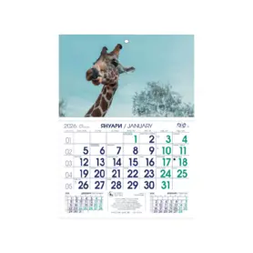 Работен календар РКМ Аванти - синьо и зелено