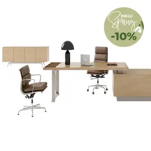 Директорски и мениджърски кабинети