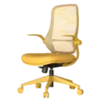 жълт цвят