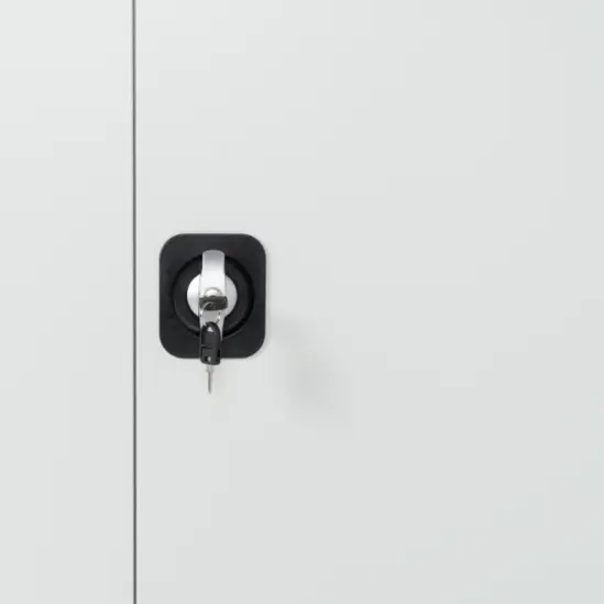 заключваща система