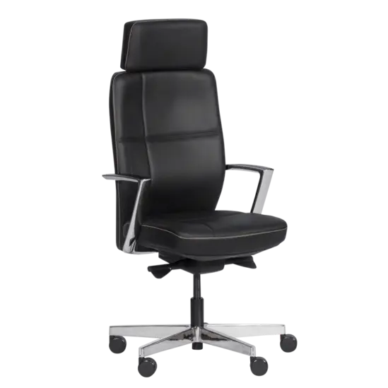 хромирана база