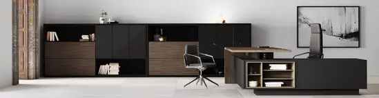 Директорски кабинет ELITE