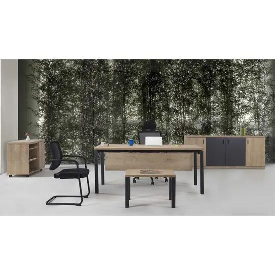 Директорски кабинет MOTTO CS01