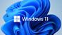 Програмен продукт с лицензен стикер Windows 11 Pro for Wrkstns 64Bit English 1pk DSP OEI DVD