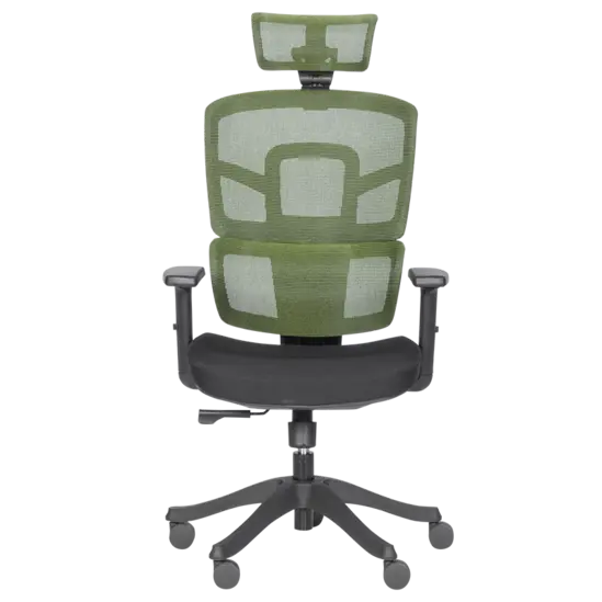 Директорски стол ВЕЛИКО- сниман отпред