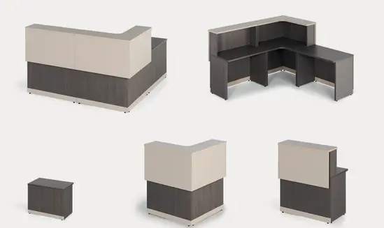 Рецепция SCARLET