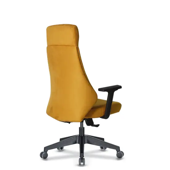 Директорски стол АЛМИДЕРЕ CNV 10- сниман отзад