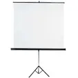 Екран на стойка 150х150 см