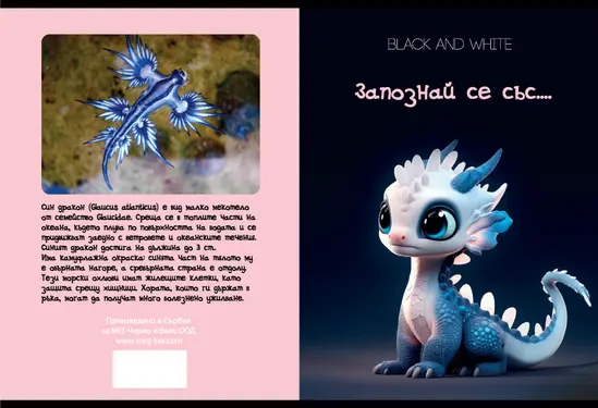 Тетрадка телчета А5 офсет 40 л малки квадратчета 20 бр