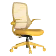 цветен