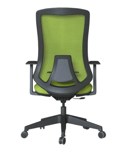 Работен стол БУЛАИР PON 0231 - зелен отзад