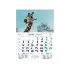 Работен календар РКМ Аванти - синьо и зелено