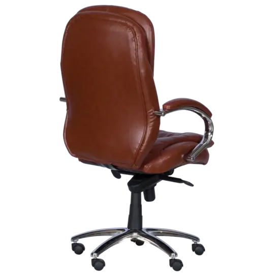 Президентски стол СТРУМЯНИ-снимка отзад